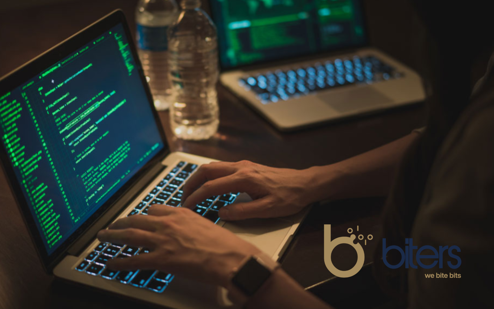 Tipi di software: SaaS, custom e soluzioni di prodotto Biters